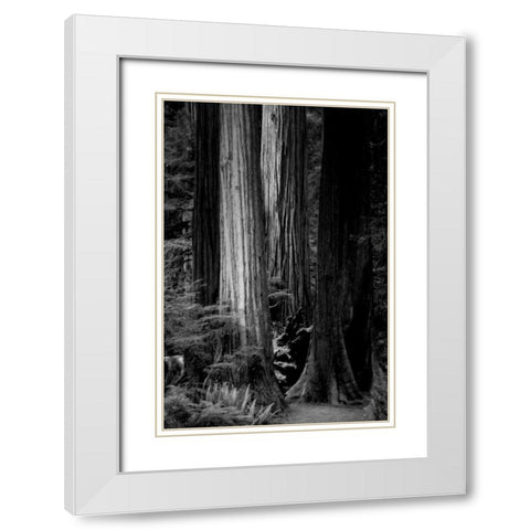 Silence White Modern Wood Framed Art Print with Double Matting by Rowland, Joseph