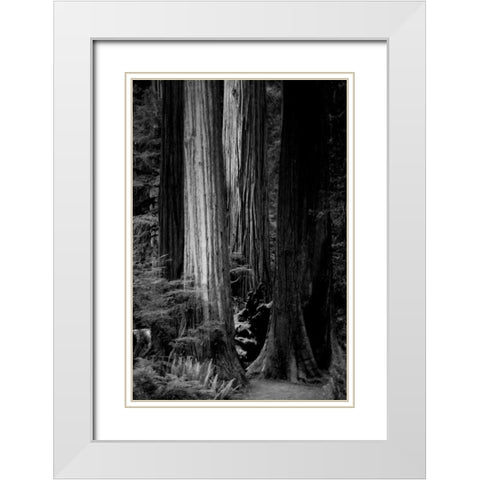 Silence White Modern Wood Framed Art Print with Double Matting by Rowland, Joseph
