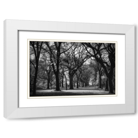 The Mall White Modern Wood Framed Art Print with Double Matting by Rowland, Joseph