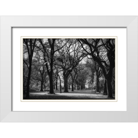 The Mall White Modern Wood Framed Art Print with Double Matting by Rowland, Joseph