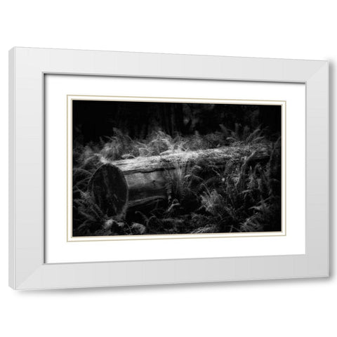 Fallen White Modern Wood Framed Art Print with Double Matting by Rowland, Joseph