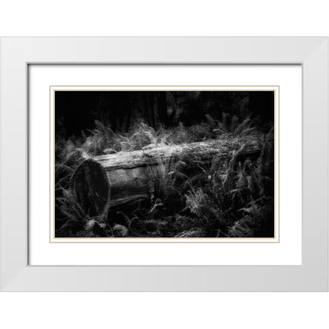 Fallen White Modern Wood Framed Art Print with Double Matting by Rowland, Joseph
