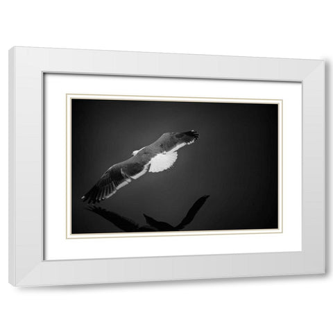 Flight White Modern Wood Framed Art Print with Double Matting by Rowland, Joseph