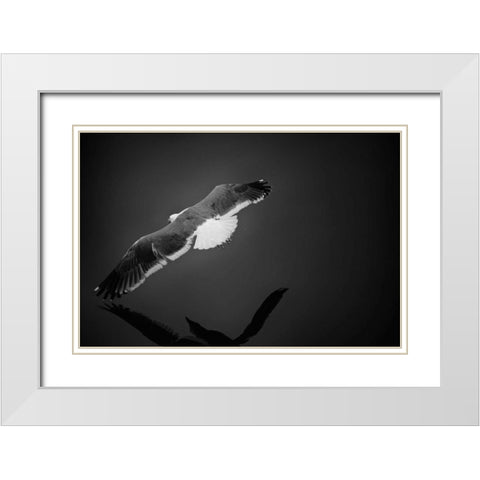 Flight White Modern Wood Framed Art Print with Double Matting by Rowland, Joseph
