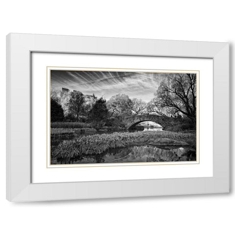 Magic Of Central Park White Modern Wood Framed Art Print with Double Matting by Rowland, Joseph