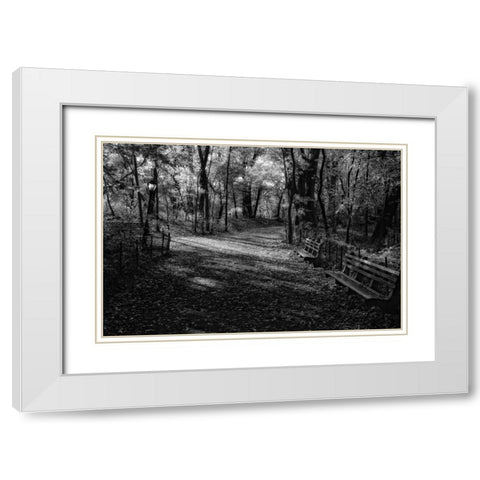 Quiet Path White Modern Wood Framed Art Print with Double Matting by Rowland, Joseph