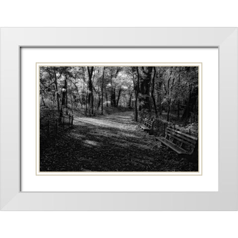 Quiet Path White Modern Wood Framed Art Print with Double Matting by Rowland, Joseph