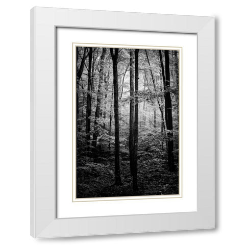 Grove White Modern Wood Framed Art Print with Double Matting by Rowland, Joseph