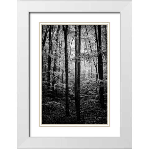 Grove White Modern Wood Framed Art Print with Double Matting by Rowland, Joseph