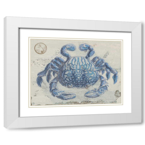 Mysterious Crustacean White Modern Wood Framed Art Print with Double Matting by Lewis, Sheldon