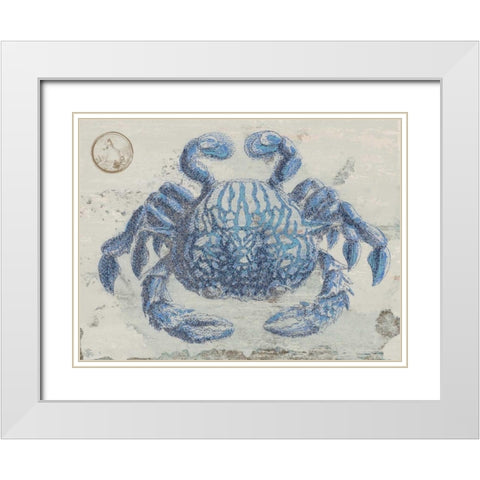 Mysterious Crustacean White Modern Wood Framed Art Print with Double Matting by Lewis, Sheldon