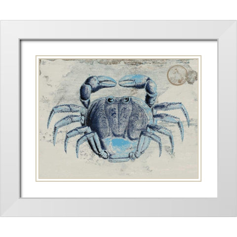 Mysterious Crustacean 2 White Modern Wood Framed Art Print with Double Matting by Lewis, Sheldon