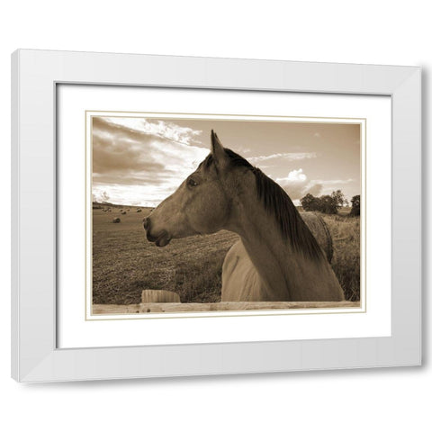 Ranch White Modern Wood Framed Art Print with Double Matting by Lewis, Sheldon