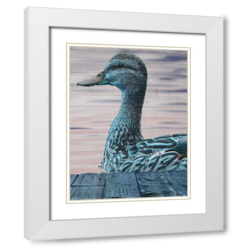 Aqua Duck White Modern Wood Framed Art Print with Double Matting by Lewis, Sheldon
