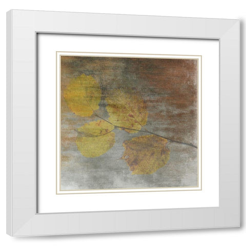 A Moment With Nature 2 White Modern Wood Framed Art Print with Double Matting by Lewis, Sheldon