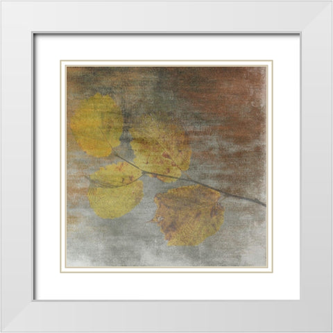 A Moment With Nature 2 White Modern Wood Framed Art Print with Double Matting by Lewis, Sheldon