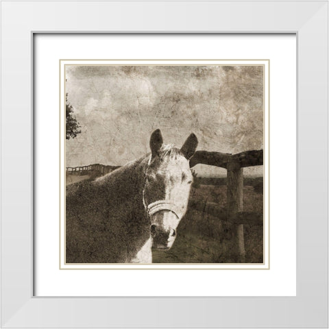 Riding West White Modern Wood Framed Art Print with Double Matting by Lewis, Sheldon