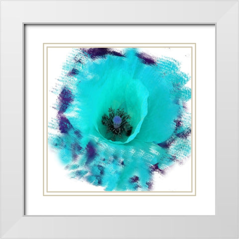 Rose Garden White Modern Wood Framed Art Print with Double Matting by Lewis, Sheldon