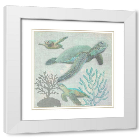 Turtles White Modern Wood Framed Art Print with Double Matting by Lewis, Sheldon