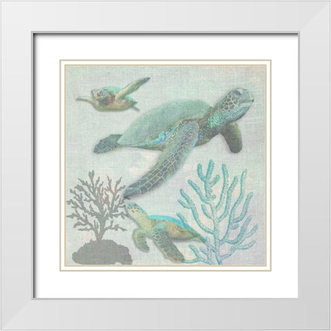Turtles White Modern Wood Framed Art Print with Double Matting by Lewis, Sheldon
