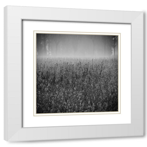 Wild Flower Field White Modern Wood Framed Art Print with Double Matting by Lewis, Sheldon