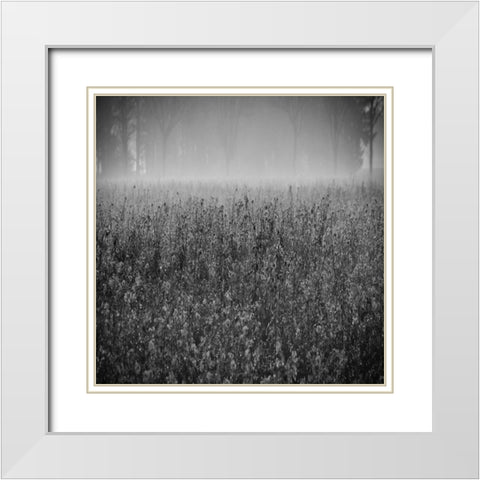 Wild Flower Field White Modern Wood Framed Art Print with Double Matting by Lewis, Sheldon