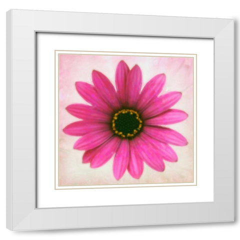 DAISY CHAIN 1 White Modern Wood Framed Art Print with Double Matting by Greene, Taylor