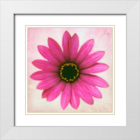 DAISY CHAIN 1 White Modern Wood Framed Art Print with Double Matting by Greene, Taylor