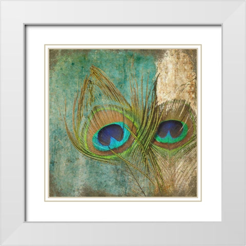 Peacock 2 White Modern Wood Framed Art Print with Double Matting by Greene, Taylor