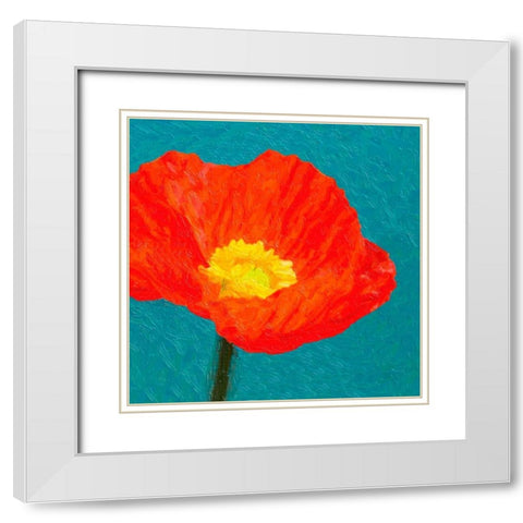 Poppies On Blue1 White Modern Wood Framed Art Print with Double Matting by Greene, Taylor
