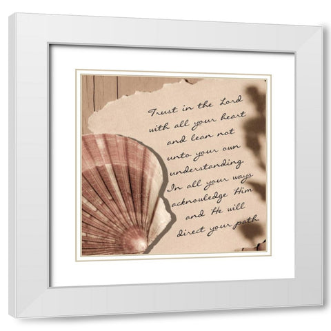 Shell 1 White Modern Wood Framed Art Print with Double Matting by Greene, Taylor