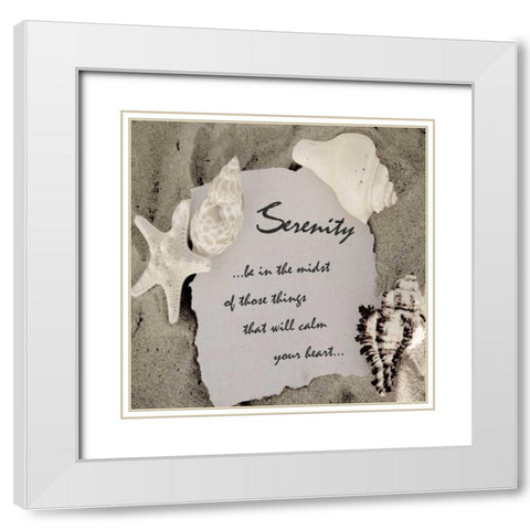 Shell Group 1 White Modern Wood Framed Art Print with Double Matting by Greene, Taylor