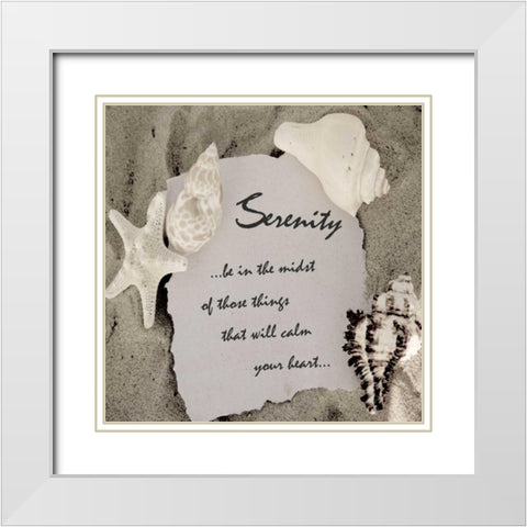 Shell Group 1 White Modern Wood Framed Art Print with Double Matting by Greene, Taylor