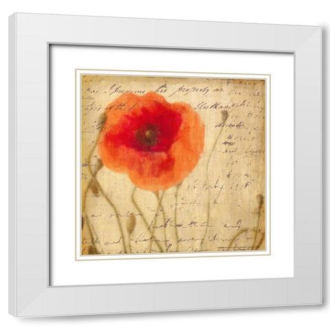 POPPY SCRIPT I White Modern Wood Framed Art Print with Double Matting by Greene, Taylor