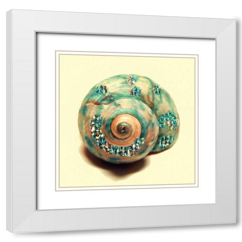 Jeweled Shell 1 White Modern Wood Framed Art Print with Double Matting by Greene, Taylor