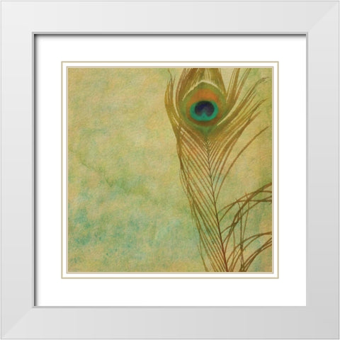 Single Feather White Modern Wood Framed Art Print with Double Matting by Greene, Taylor