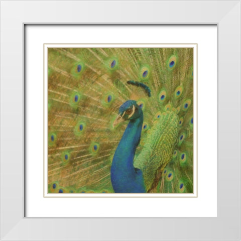 Peacock Love White Modern Wood Framed Art Print with Double Matting by Greene, Taylor