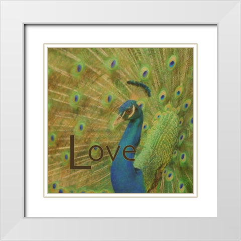 Peacock Love C White Modern Wood Framed Art Print with Double Matting by Greene, Taylor