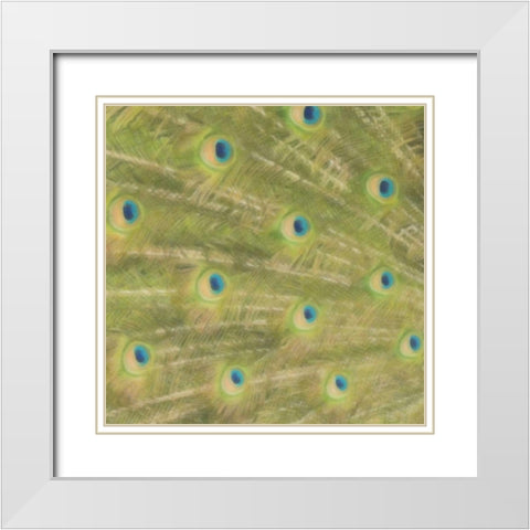 Peacock Feathers 2 White Modern Wood Framed Art Print with Double Matting by Greene, Taylor
