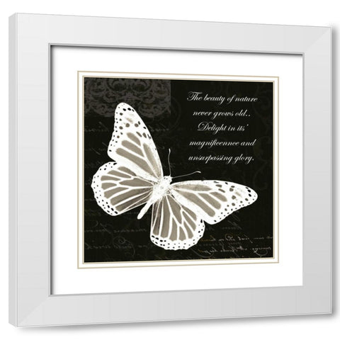 Beauty Butterfly White Modern Wood Framed Art Print with Double Matting by Greene, Taylor