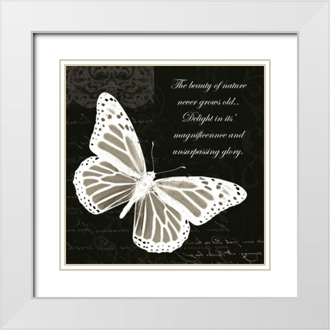 Beauty Butterfly White Modern Wood Framed Art Print with Double Matting by Greene, Taylor