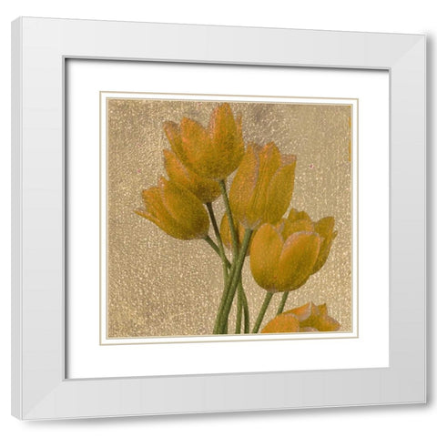OSCAR GOLD A1 White Modern Wood Framed Art Print with Double Matting by Greene, Taylor