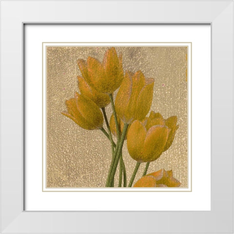 OSCAR GOLD A1 White Modern Wood Framed Art Print with Double Matting by Greene, Taylor