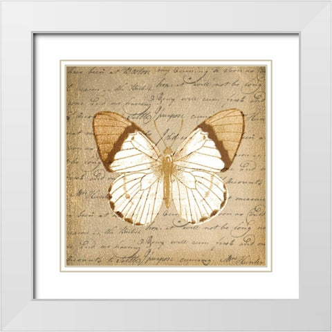 BUTTERFLY ON GOLD White Modern Wood Framed Art Print with Double Matting by Greene, Taylor