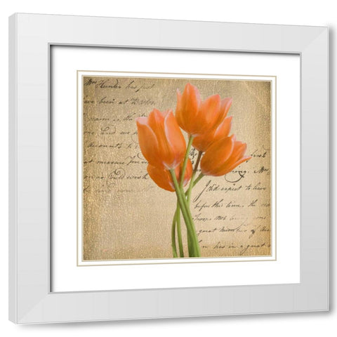 ORANGE TULIP II ON GOLD White Modern Wood Framed Art Print with Double Matting by Greene, Taylor