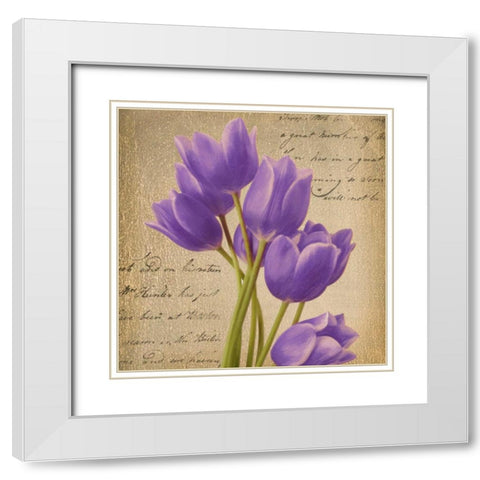 PURPLE TULIP I ON GOLD White Modern Wood Framed Art Print with Double Matting by Greene, Taylor
