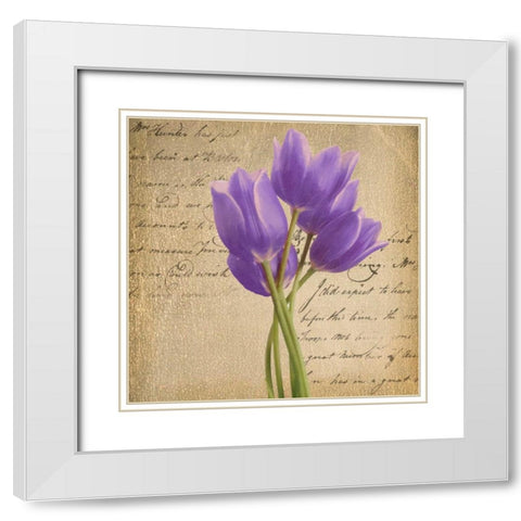PURPLE TULIP II ON GOLD White Modern Wood Framed Art Print with Double Matting by Greene, Taylor