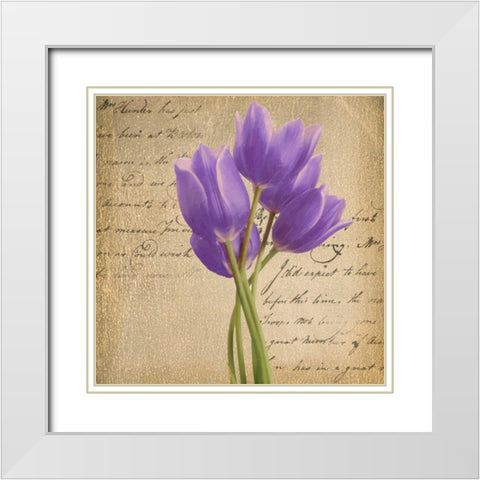 PURPLE TULIP II ON GOLD White Modern Wood Framed Art Print with Double Matting by Greene, Taylor