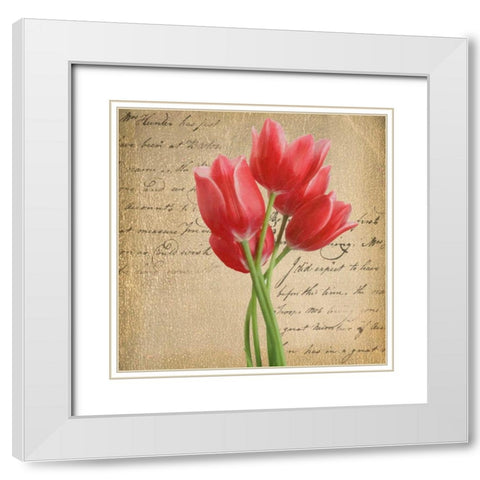 RED TULIP II ON GOLD White Modern Wood Framed Art Print with Double Matting by Greene, Taylor