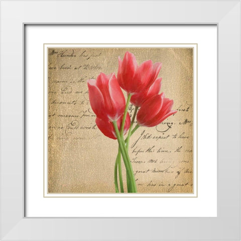 RED TULIP II ON GOLD White Modern Wood Framed Art Print with Double Matting by Greene, Taylor